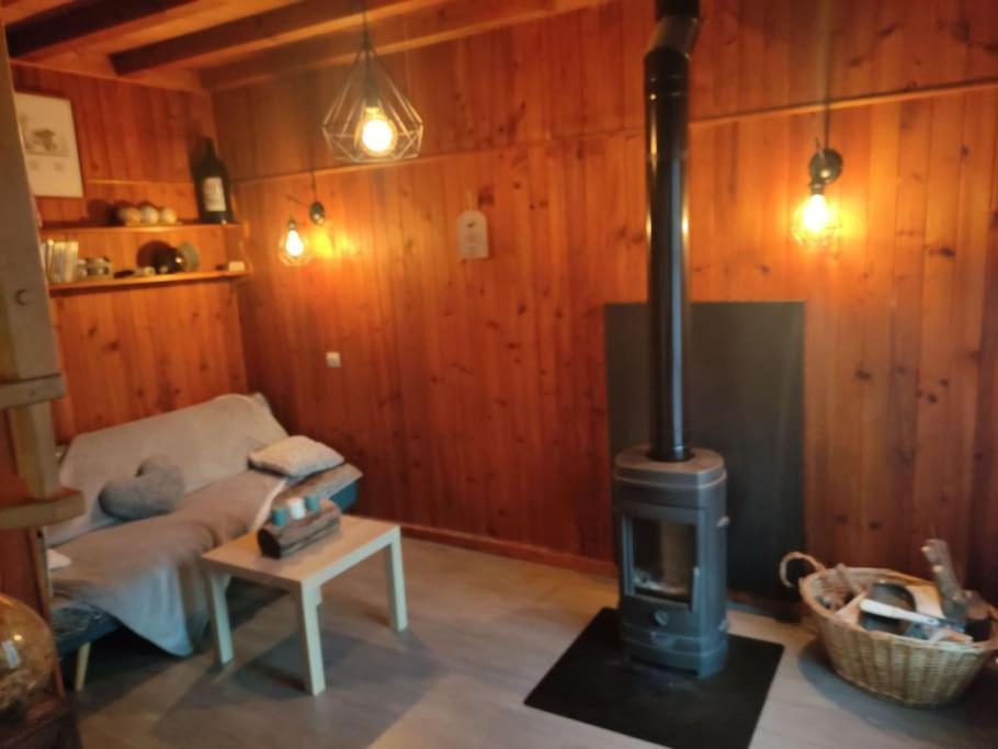 Chalet Accueillant Et Familial Сен-Мартен-Везюби Экстерьер фото